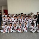 용인대 국가대표 김병태 태권도장 이미지