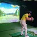 더탑 스크린 골프존 이미지