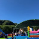 선바위(분재전시관) | 경북여행/ 2025년 퐁당퐁당 선바위 물놀이 축제 다녀온 후기