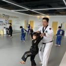 태권도 지화자 이미지