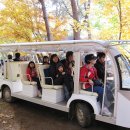 남이섬 봄펜션 이미지