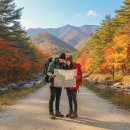 구천동 어사길 | 무주구천동 어사길 트레킹 코스, 직접 걸어본 솔직 후기