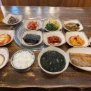 살찐코양이