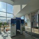 (주)제주해양과학관 | 시흥 해양생태과학관 후기｜오픈런 필수 체험·도슨트 꿀팁 총정리