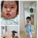 경하목장 Daum카페
