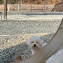 어반파크 캠핑장&바베큐 이미지