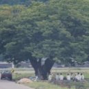 풍정 이미지