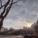 송호초사거리(송호초) 이미지
