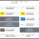 라벤더민박 | 일본 홋카이도 삿포로 여름 여행 코스 라벤더축제 + 마이리얼트립 2월 쿠폰 등록