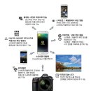 Nikon D850 Single Lens Reflex Cameras 이미지