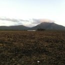 서도농장 이미지