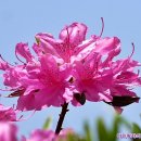 둔산 선사유적지 이미지