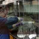 해국무역 이미지