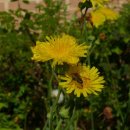 칠보중학교 이미지