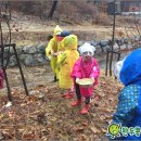 리더스숲유치원 이미지