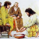 호산나목장 이미지