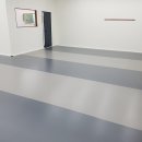 루루애견 이미지