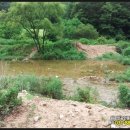 여주-0523 이미지