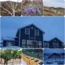 별빛산방 이미지