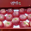 반딧불 된장·고추장