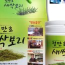 정만호새싹보리농장