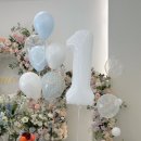 동탄첨단산업1로 이미지