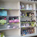 한스애견 이미지