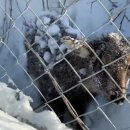 국립공원공단 국립공원연구원 북부보전센터 이미지