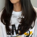 송림미용실 - 수원시 장안구 | [양산] 범어 미용실 매료 하이레이어드 C컬펌 해인 디자이너