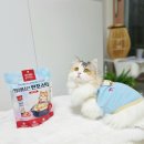 고기맛당 | [체험단 리뷰] 저염 고양이 츄르추천 : 누터스가든 정성담은 한포스틱 닭고기맛 솔직 후기