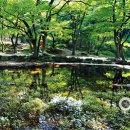동천문화사 티스토리