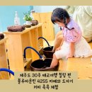 블루마운틴4255