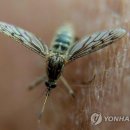 동남아올