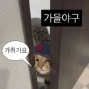 룰루랄라 이미지