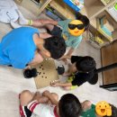 영아태권도 이미지