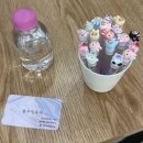 블루밍로사 | 성신여대 속눈썹펌 <블루밍로사 성신여대점> 후기