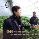 대박농장2 이미지