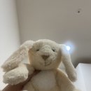 블룸왁싱 | 의정부 민락동 [블룸왁싱]후기 🤍 브라질리언왁싱 손 빠르고 주차까지 최고!