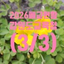 조산초 적은분교장 | 강원도교육청 폐교 현황 (3/3) (2026. 3. 1 기준) 입니다.