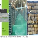 디에스티 이미지