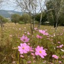 연산면사무소 | [국가유산여권투어] 논산 당일치기 가볼만한곳 ‘논산 돈암서원’ 방문여권 스탬프 비치장소 위치...