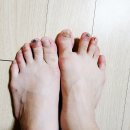 북토크쇼 다녀온 후기 [책 : 세기말 다이어리 하소연 작가님]