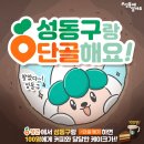 성동구청 이미지