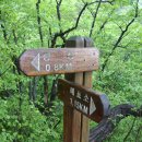 강촌유원지 이미지