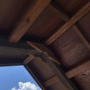 도심다원 이미지