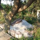 반도 태양광발전소 이미지