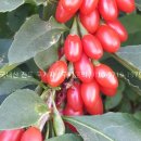 남진한의원 이미지