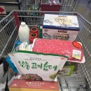 코스트코 1인가구 장보기 2탄｜재구매템 + 신상 추천 + 푸드코트 후기