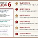 에코가든 이미지