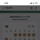 씨제이올리브영전남 이미지